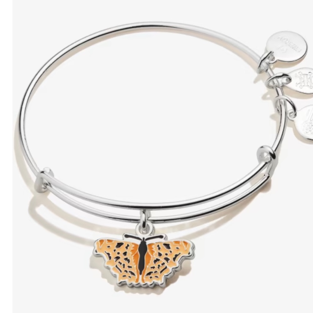 Alex and Ani Bracelet